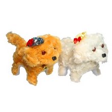 1368034169