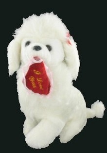 DEAR POODLE WITH HEART