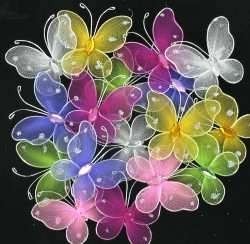 DEAR LITTLE BUTTERFLIES (50pcs)