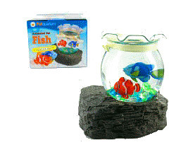 MOVING IN MARINE AQUARIUM