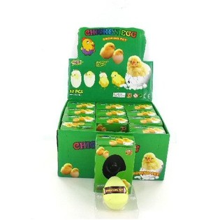 GROWING CHICK IN EGG (12 pcs)