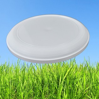 STANDARD FRISBEE 21 CM. (25st).