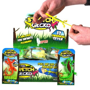 STRETCHY LIZARD IN DISPLAY (36st).