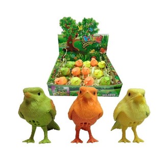 FUNNY BIRD, FLUIT AND HIS FLUIT BACK (24h.)