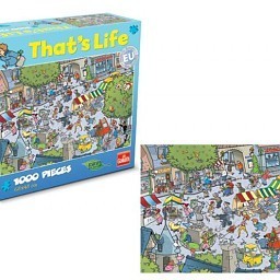 That's Life Puzzle - Village, 1000 pieces (1st.)